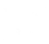 Vigor