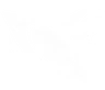 Launch Disruption