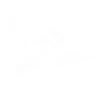 Incursion