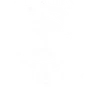 Transmission Disruption II