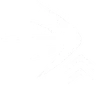 Kinetics